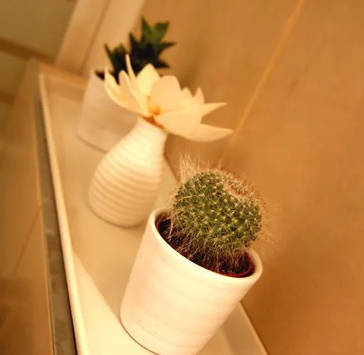 Gozsdu Daire Budapeşte